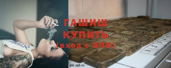 стаф Краснослободск