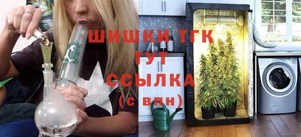 стаф Краснослободск