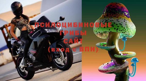 стаф Краснослободск
