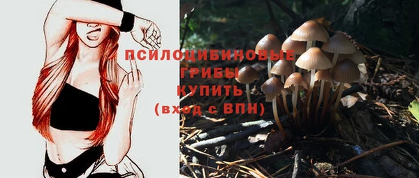 индика Красноперекопск